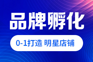 京东代运营